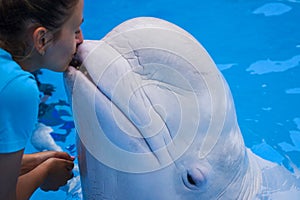 girl, trainer with dolphins