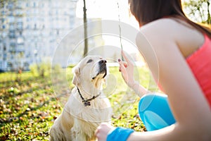 Girl training dog at park