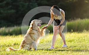 Girl Training Golden Retriever Dog On A Meadow