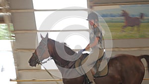 A girl trains a horse in an arena. Horse riding, horse racing, jumping