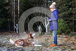 Girl trains husky dog. Woman and pet. Walking with Training Obedience and cute dog