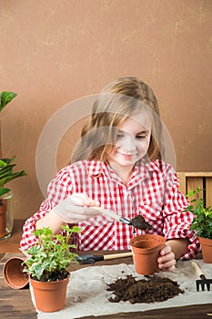 The girl transplants a pot with a flower. The girl in a plaid shirt in the hands of the land with heather ivy. Transplanting potte