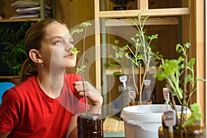 A girl transplants seedlings of garden plants, and smells how fresh leaves smell