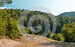 girl traveler with a backpack goes along a mountain path