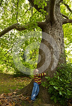 Girl and tree