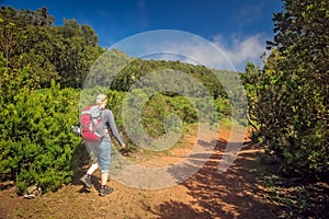 Girl trekking in Garajonay national park