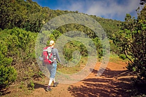 Girl trekking in Garajonay national park