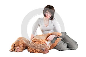 Girl with two dogs