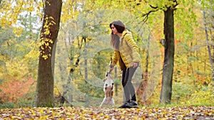 girl with two dogs in the park in autumn. Outdoor activities with a pet, walk, play. Jack Russell Terrier in nature