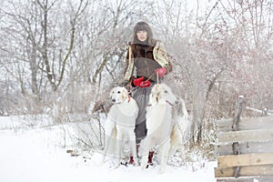 Girl with two greyhounds in the winter, falling snow