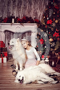 Girl and two Samoyed Laika in the studio