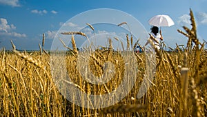 Girl with umbrella walks on a field