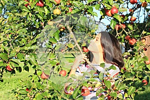 Girl under apple tree