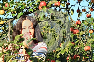 Girl under apple tree eating apple