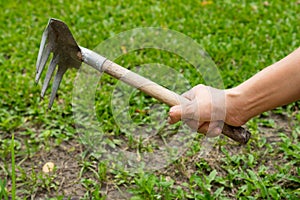 Girl using single hand garden rake.