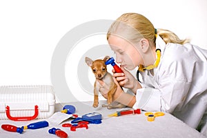 Girl Veterinarian Checking Puppy Dog's Ears