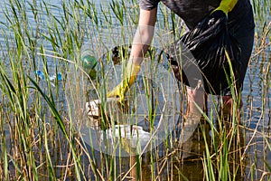 Girl volunteer cleans the pond from garbage photo