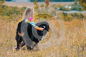 girl on walk with her four-legged friend on autumn fields