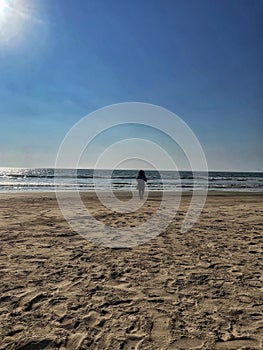 A girl walking alone on the beach of Goa in India
