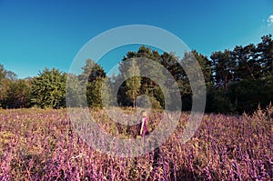 Girl walking alone in a flower field