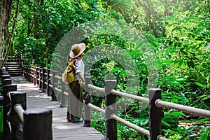 The Girl walking in the bridge and enjoying the tourism in through the mangrove forest. Waterfall Than Bok Khorani Nature Trail.