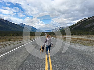 El perro sobre el carretera 