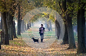 Girl walking dog in park in autumn