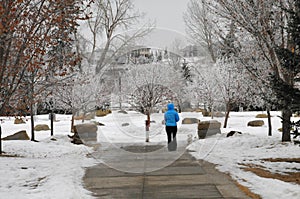 A Girl walking a dog in park during cold winter day in Calgary, Canada