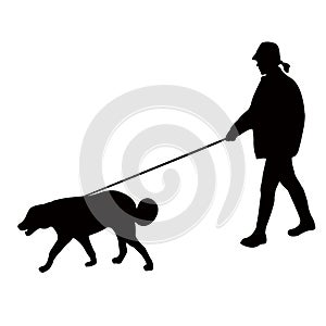 girl walking the dog, silhouette vector