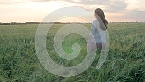 Girl walking in field stroking spikelets of wheat with hand, young woman enjoying summer nature at sunset, concept of harmony man