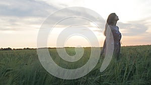 Girl walking in field stroking spikelets of wheat with hand, young woman enjoying summer nature at sunset, concept of harmony man