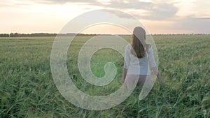 Girl walking in field stroking spikelets of wheat with hand, young woman enjoying summer nature at sunset, concept of harmony man