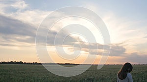 Girl walking in field stroking spikelets of wheat with hand, young woman enjoying summer nature at sunset, concept of harmony man