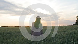 Girl walking in field stroking spikelets of wheat with hand, young woman enjoying summer nature at sunset, concept of harmony man