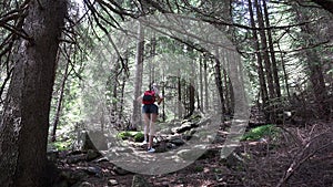 Girl Walking in Forest, Teenager Child Hiking at Camping, Mountains Trails, Adolescent Tourist in Wood Adventure Trip, Excursion