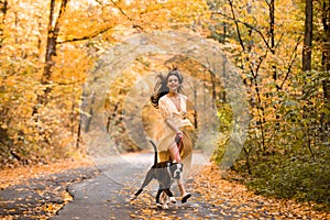 A girl walking with her dog in colorful autumn forest. Submissiveness. Best friends. Woman with dog walking in the park