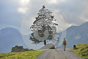 Girl walking with her dogs near Oeschinensee, Kandersteg. Switzerland