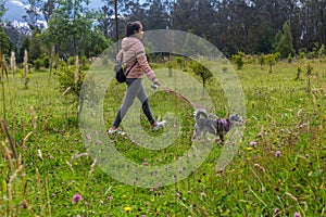 Girl walking her little dog in a forest