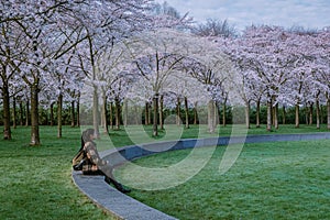 Girl walking in the park with cherry blossom tree blooming in Amsterdam Netherlands, female enjoys a walki in the park
