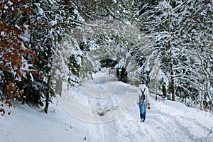 Girl walking on path in snowy winter mountains with softwood forest