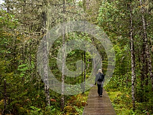 A girl is walking on a rainy day on a trail of the Gaspesie National Park in Quebec, Canada. Hiking through the mist and rainy