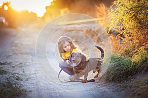 A girl walks in an autumn flogging with a dachshund dog