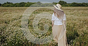 The girl walks away through the chamomile field