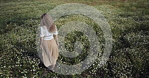 The girl walks away through the chamomile field