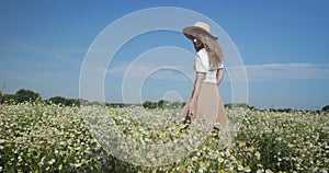 The girl walks through the chamomile field