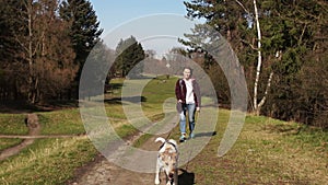 Girl walks in a city park with her dog. Young male dog runs in front of the mistress along the track, close portrait