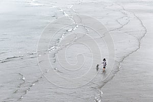 A girl walks with dog along the seashore, aerial view. The owner and his pet are walking on the waves