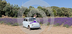 girl in walks in a field of lavender. View from the back, south sardinia photo