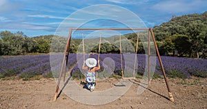 girl in walks in a field of lavender. View from the back, south sardinia photo