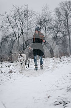 The girl walks the husky dog in winter. Snowfall. Walking in nature with pets